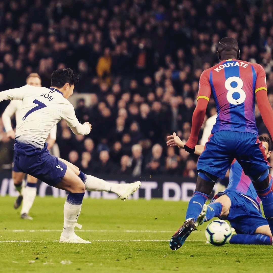 费耶诺德和 费耶诺德和