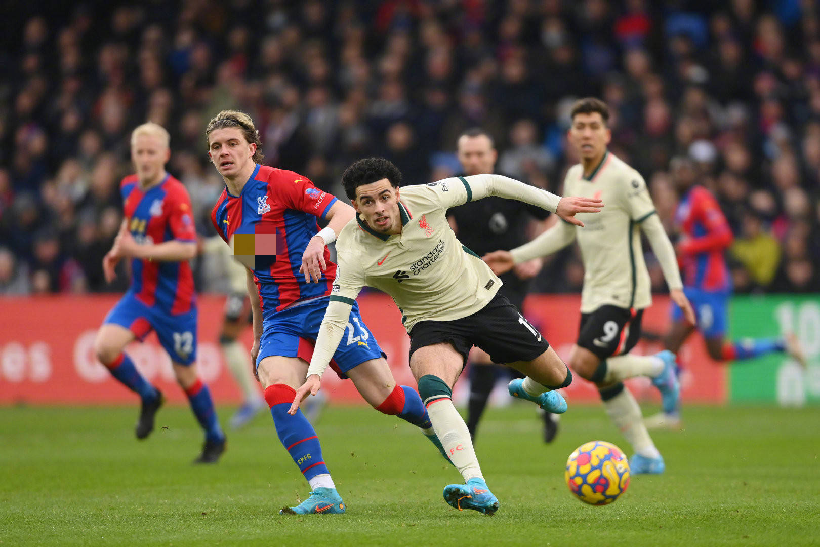 划不仅是在 划不仅是在